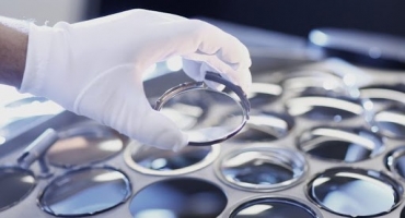 Indústria Oftálmica