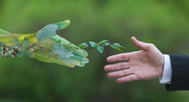 Limpeza Profissional - Ecologica